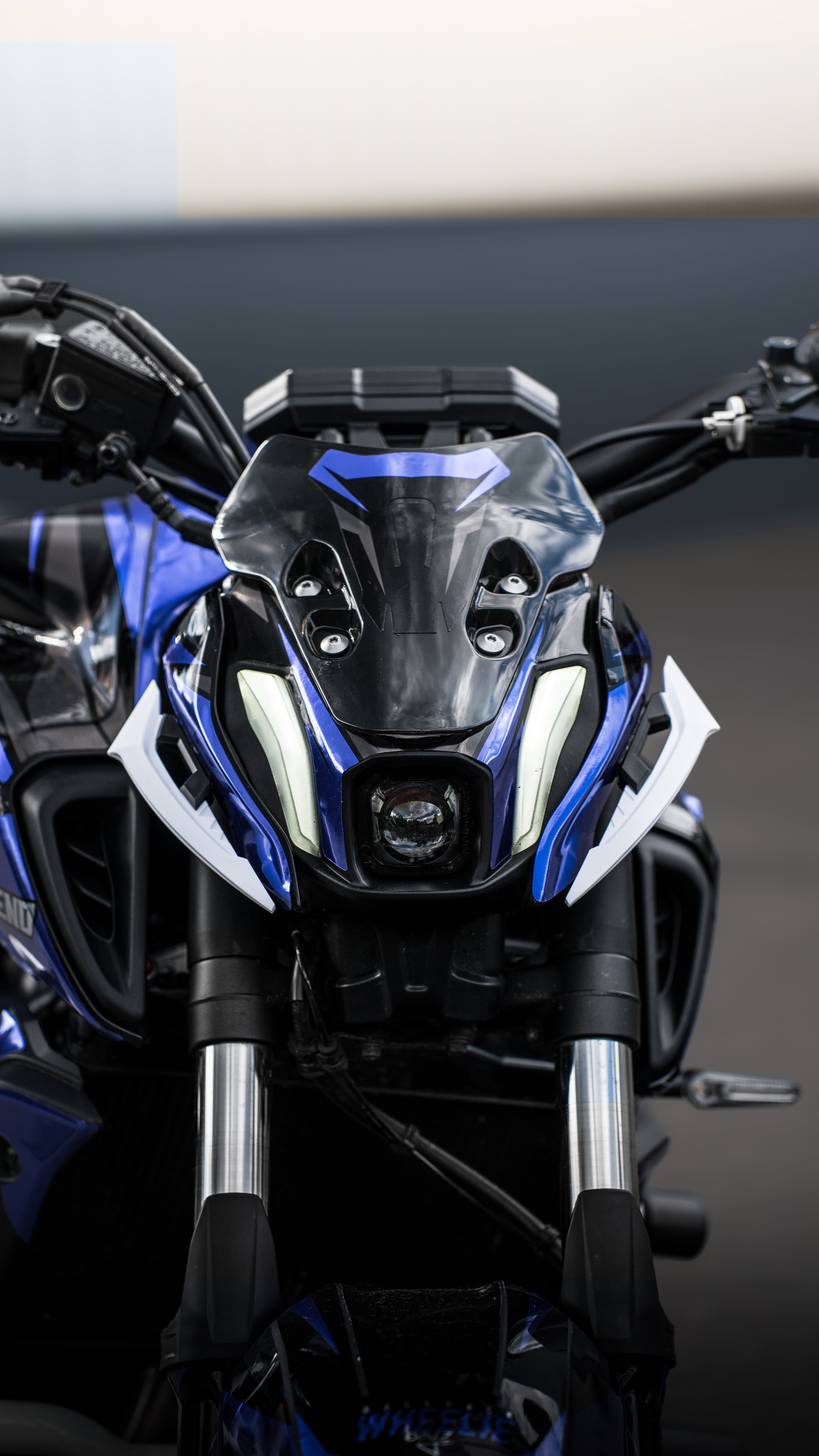 Sport Winglets V1